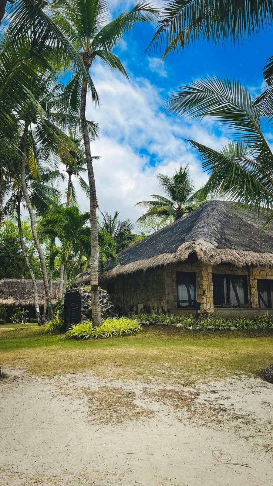 Surf camps & hostels